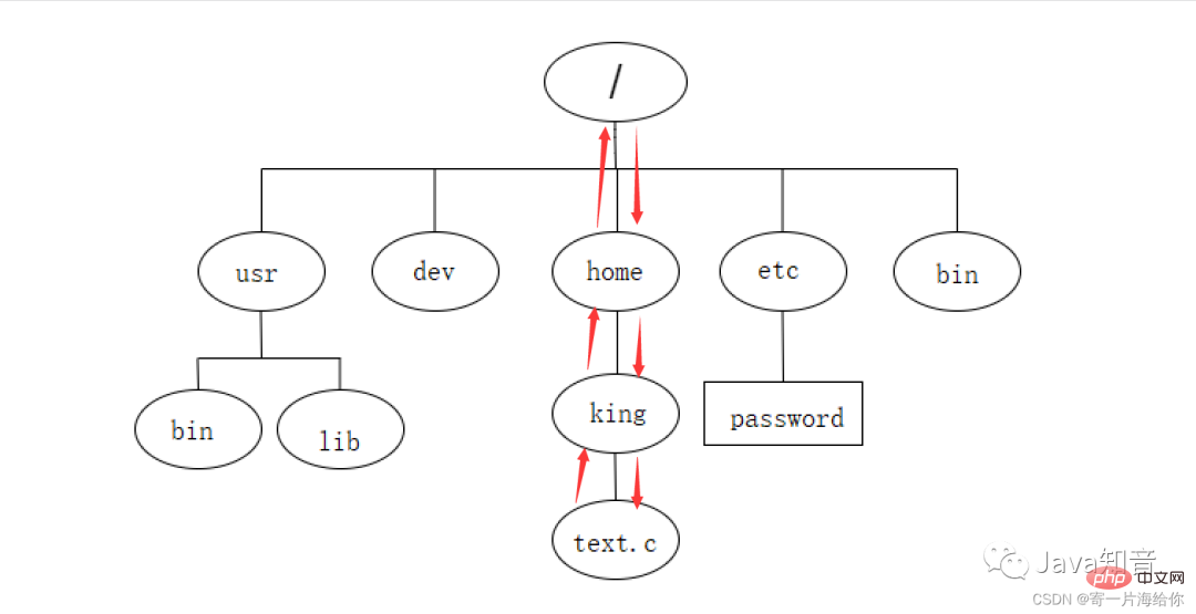 万字详解 Linux 常用指令（值得珍藏）